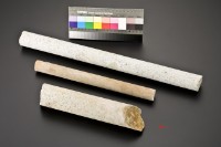 藏品(岩心)的圖片