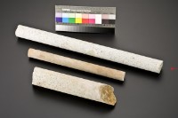 藏品(岩心)的圖片