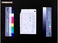 藏品(台金公司請假單)的圖片