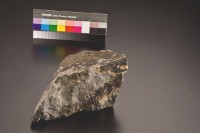 藏品(樹梅金礦矽化砂岩(黑色))的圖片