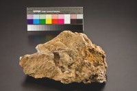 藏品(本山礦場矽化安山岩)的圖片