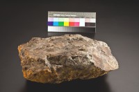 藏品(本山礦場矽化安山岩(含銅較高))的圖片