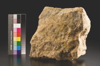 藏品(長仁三坑矽化砂岩)的圖片