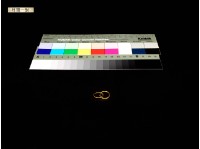 藏品(耳環(鉤)一對)的圖片