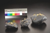 藏品(戲水毛蟹組合)的圖片