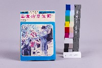 藏品(少年讀物-基度山恩仇記)的圖片