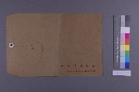 藏品(信封(海山二坑煤礦)2)的圖片