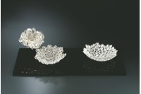 藏品(共居)的圖片