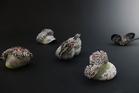 藏品(視覺修復)的圖片