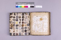 藏品(鑛物品名產地識別表)的圖片