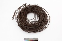 藏品(籐陷阱)的圖片