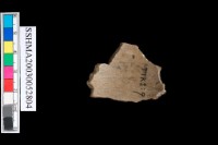 藏品(扁平體石環)的圖片