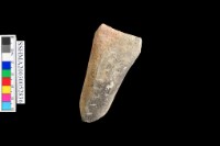 藏品(陶器 把手)的圖片