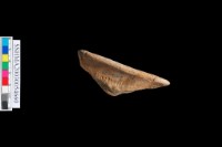 藏品(純紋陶 口緣)的圖片