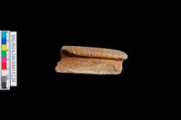 藏品(粗砂陶 . 口緣)的圖片