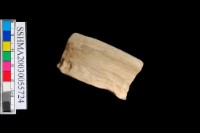 藏品(細砂陶.口緣)的圖片