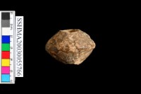 藏品(紡輪                             展示品      )的圖片