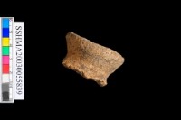 藏品(粗砂陶.口緣)的圖片