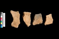 藏品(粗砂陶.腹片.口緣)的圖片