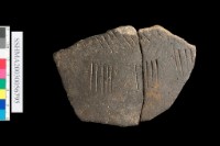 藏品(粗砂陶.腹片)的圖片