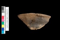 藏品(細砂陶 口緣)的圖片