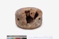 藏品(鯨椎骨)的圖片