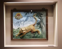 藏品(虎交趾陶)的圖片