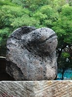 藏品(猴王)的圖片