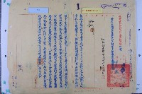 藏品(報廢38輛舊廢車)的圖片