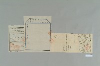 藏品(民國4年12月15日李德怡立賣斷契)的圖片