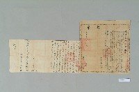 藏品(光緒22年11月29日高信養立賣斷契)的圖片