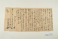 藏品(咸豐5年元月20日陳連海立賣斷契)的圖片