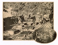 藏品(樟腦製作圖片)的圖片