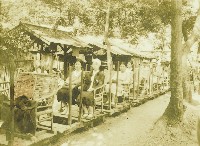 藏品(臺車載客照-3)的圖片