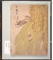 藏品(《臺灣大觀》)的圖片