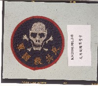 藏品(反共救國軍臂章)的圖片