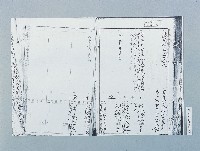 藏品(日籍市長設籍高雄市之戶籍謄本)的圖片