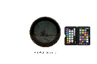 藏品(彩繪風景紋圓盤)的圖片