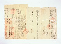 藏品(三結義庄劉蚊等立賣杜絕盡根田契)的圖片