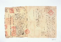 藏品(黃克昌兄弟立杜賣盡根契字)的圖片