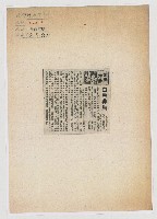 藏品(白馬非馬)的圖片