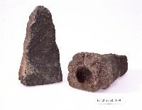 藏品()的圖片