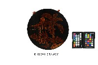 藏品()的圖片