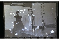 藏品()的圖片