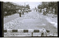 藏品()的圖片