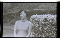 藏品()的圖片