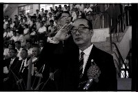 藏品()的圖片