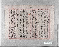 藏品()的圖片