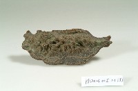 藏品(書鎮)的圖片