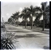 藏品(高雄市火車站前的中山路)的圖片